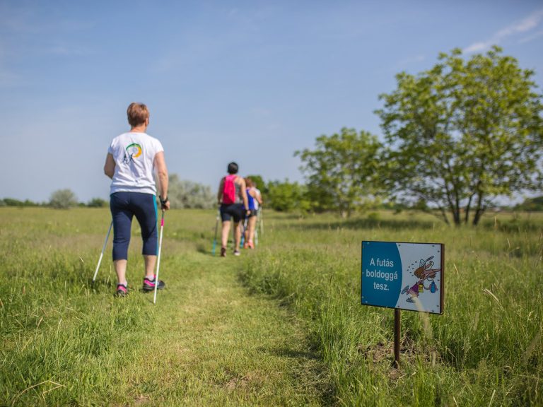 Repülőtér- Nordic walking- futó útvonal