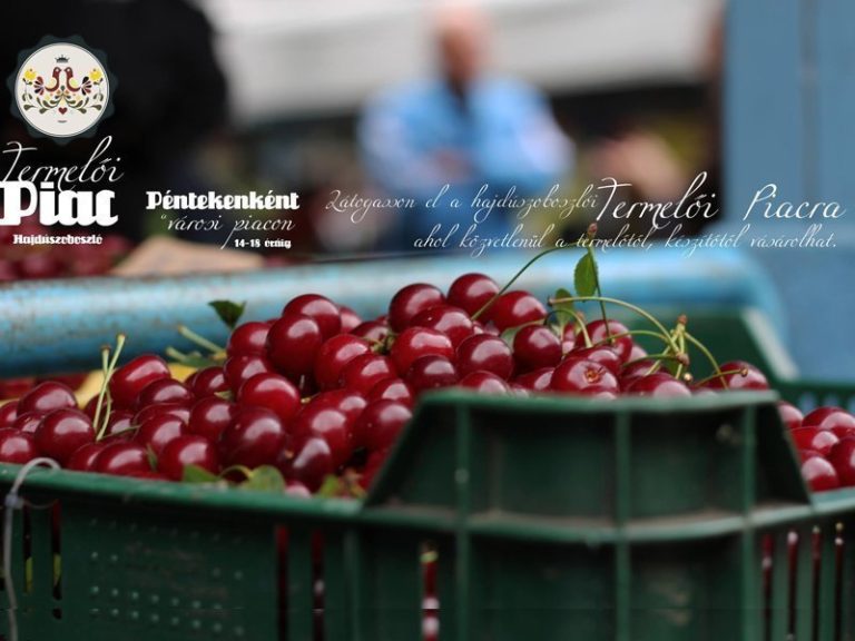 Termelői Piac